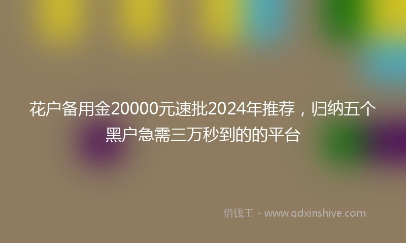 花户备用金20000元速批2024年推荐，归纳五个黑户急需三万秒到的的平台