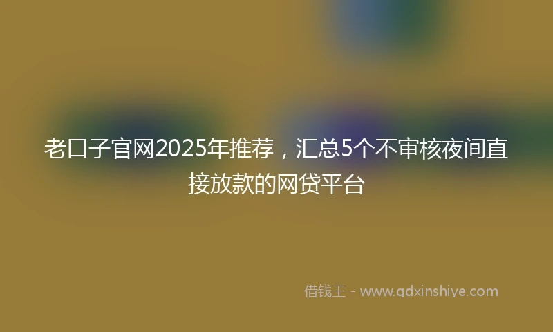 老口子官网2025年推荐，汇总5个不审核夜间直接放款的网贷平台