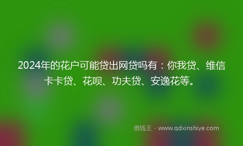 2024年的花户可能贷出网贷吗有：你我贷、维信卡卡贷、花呗、功夫贷、安逸花等。