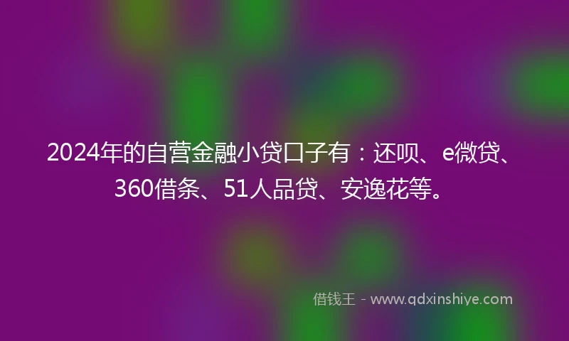 2024年的自营金融小贷口子有：还呗、e微贷、360借条、51人品贷、安逸花等。