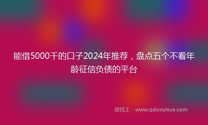 能借5000千的口子2024年推荐，盘点五个不看年龄征信负债的平台