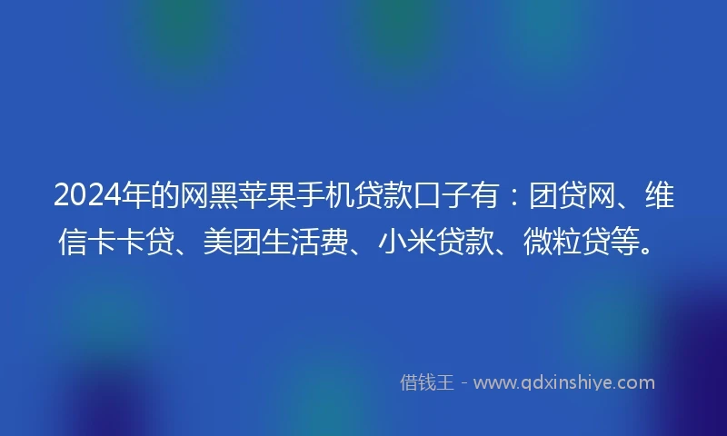 2024年的网黑苹果手机贷款口子有：团贷网、维信卡卡贷、美团生活费、小米贷款、微粒贷等。