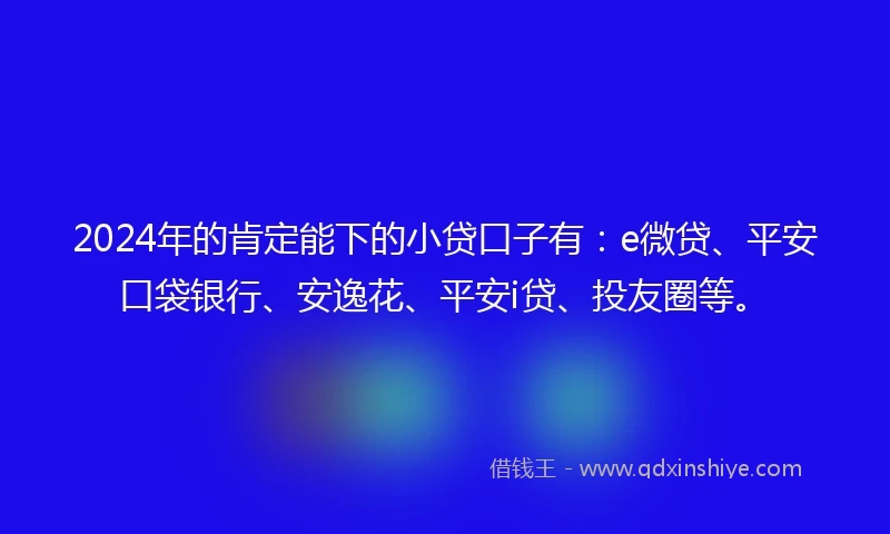 2024年的肯定能下的小贷口子有：e微贷、平安口袋银行、安逸花、平安i贷、投友圈等。