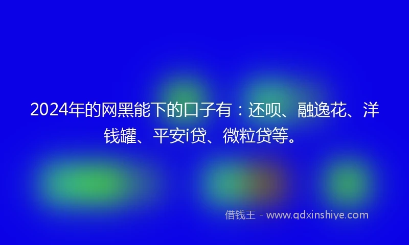 2024年的网黑能下的口子有：还呗、融逸花、洋钱罐、平安i贷、微粒贷等。