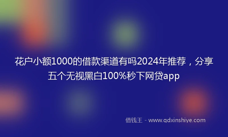花户小额1000的借款渠道有吗2024年推荐，分享五个无视黑白100%秒下网贷app