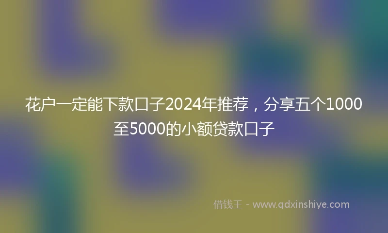 花户一定能下款口子2024年推荐，分享五个1000至5000的小额贷款口子