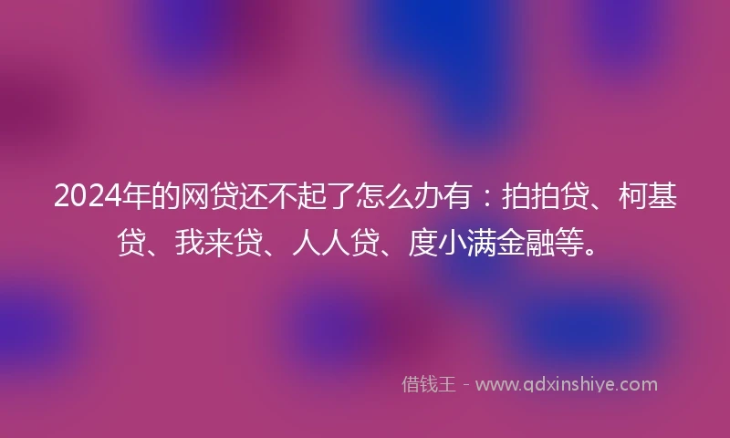 2024年的网贷还不起了怎么办有：拍拍贷、柯基贷、我来贷、人人贷、度小满金融等。