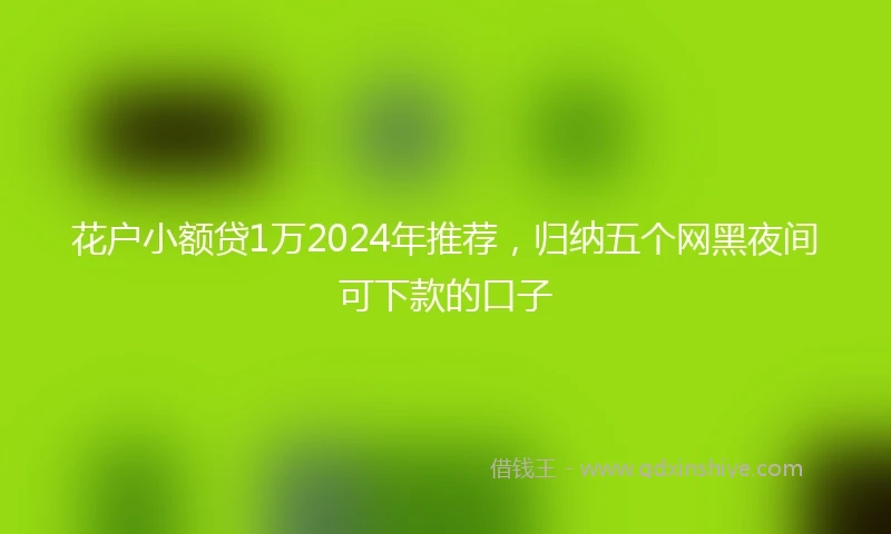 花户小额贷1万2024年推荐，归纳五个网黑夜间可下款的口子