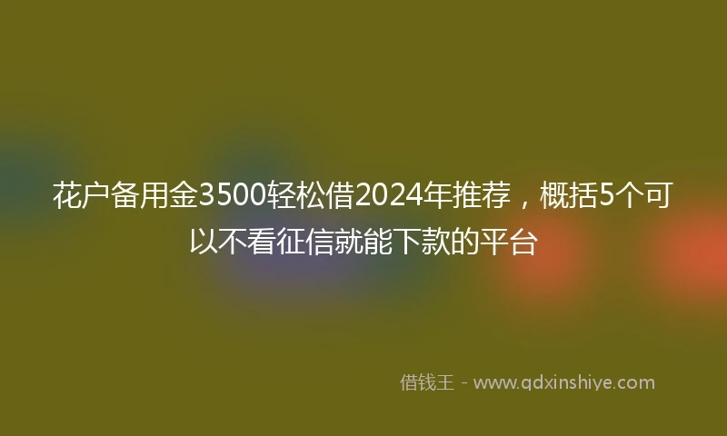 花户备用金3500轻松借2024年推荐，概括5个可以不看征信就能下款的平台