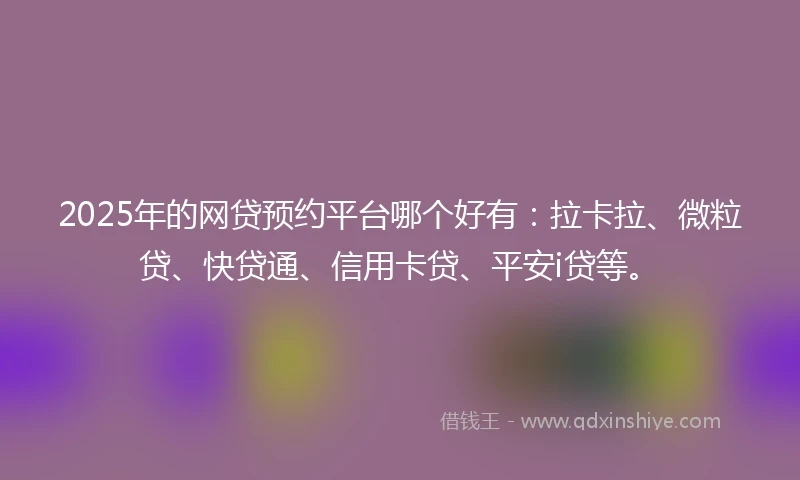 2025年的网贷预约平台哪个好有：拉卡拉、微粒贷、快贷通、信用卡贷、平安i贷等。