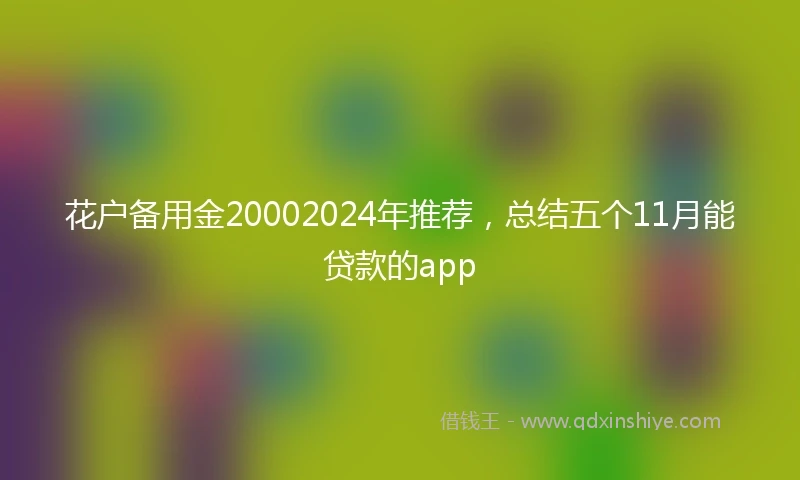 花户备用金20002024年推荐，总结五个11月能贷款的app