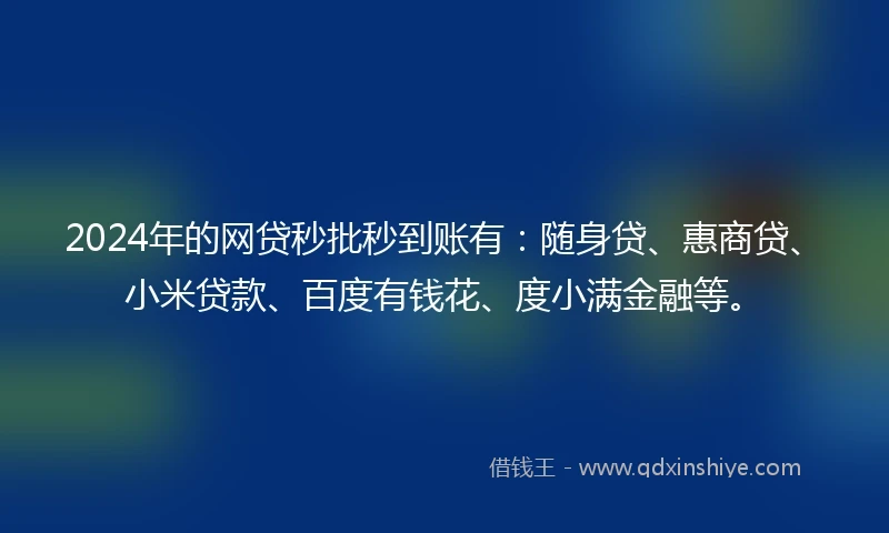 2024年的网贷秒批秒到账有：随身贷、惠商贷、小米贷款、百度有钱花、度小满金融等。