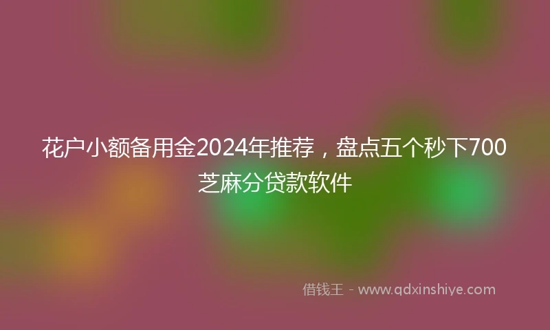 花户小额备用金2024年推荐，盘点五个秒下700芝麻分贷款软件