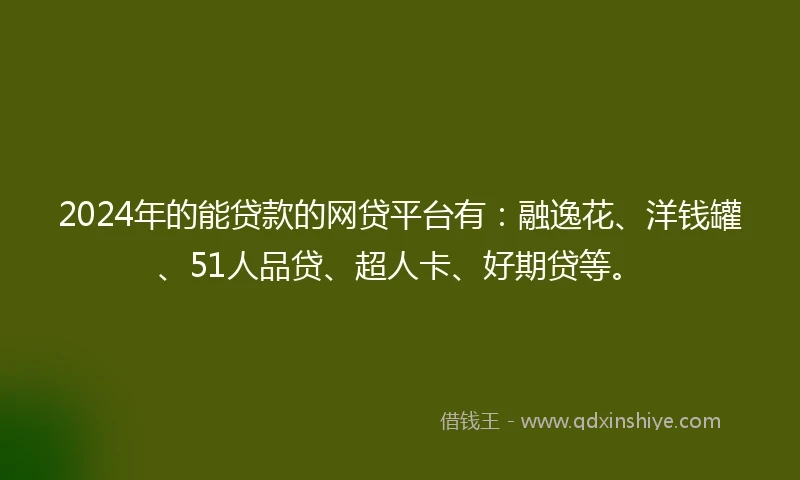 2024年的能贷款的网贷平台有：融逸花、洋钱罐、51人品贷、超人卡、好期贷等。