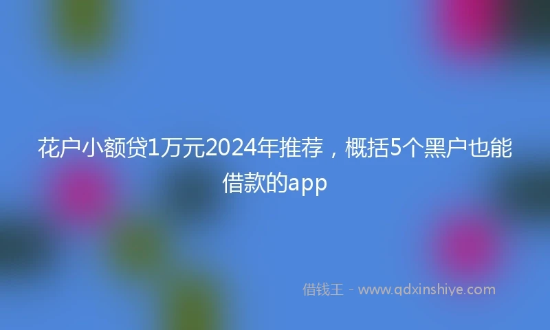 花户小额贷1万元2024年推荐，概括5个黑户也能借款的app