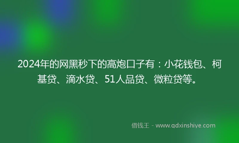2024年的网黑秒下的高炮口子有：小花钱包、柯基贷、滴水贷、51人品贷、微粒贷等。