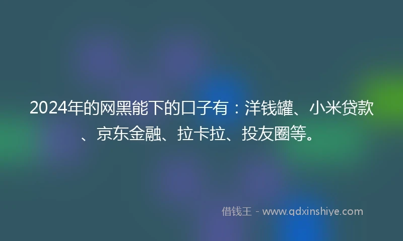 2024年的网黑能下的口子有：洋钱罐、小米贷款、京东金融、拉卡拉、投友圈等。