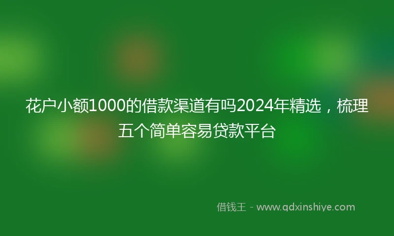 花户小额1000的借款渠道有吗2024年精选，梳理五个简单容易贷款平台