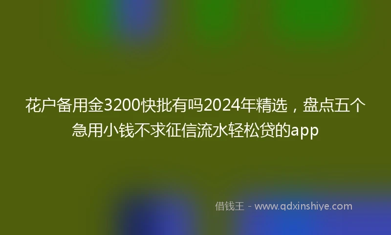 花户备用金3200快批有吗2024年精选，盘点五个急用小钱不求征信流水轻松贷的app