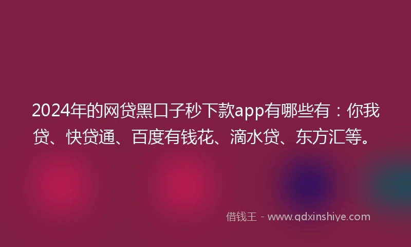 2024年的网贷黑口子秒下款app有哪些有：你我贷、快贷通、百度有钱花、滴水贷、东方汇等。