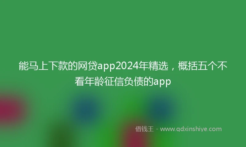 能马上下款的网贷app2024年精选，概括五个不看年龄征信负债的app