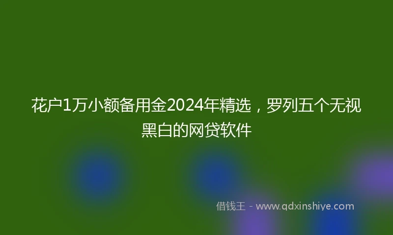 花户1万小额备用金2024年精选，罗列五个无视黑白的网贷软件
