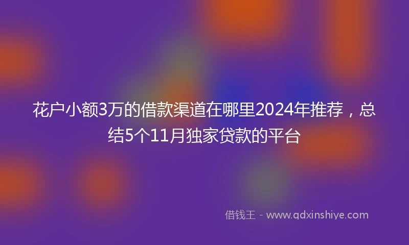 花户小额3万的借款渠道在哪里2024年推荐，总结5个11月独家贷款的平台