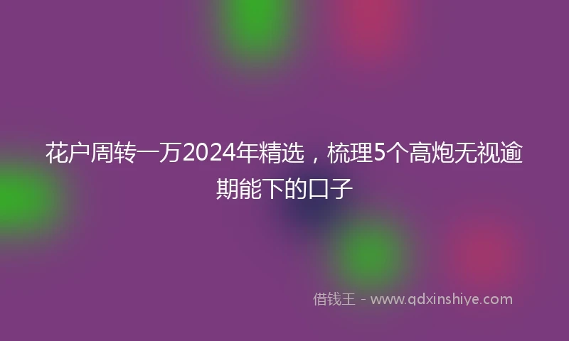 花户周转一万2024年精选，梳理5个高炮无视逾期能下的口子