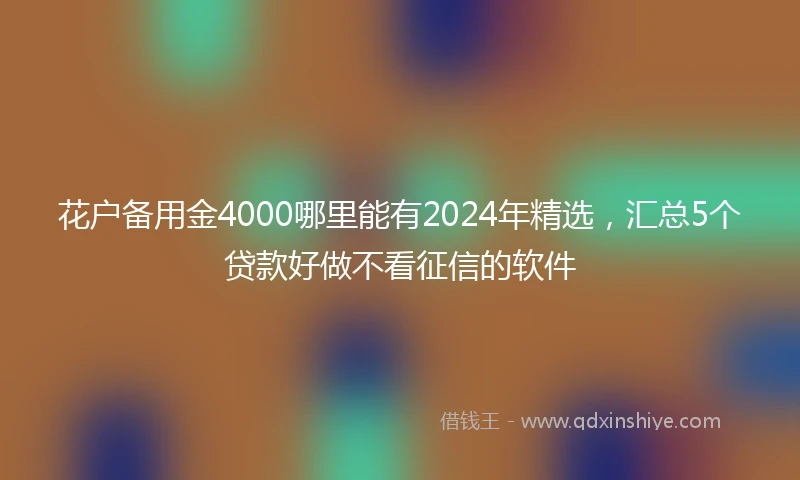 花户备用金4000哪里能有2024年精选，汇总5个贷款好做不看征信的软件