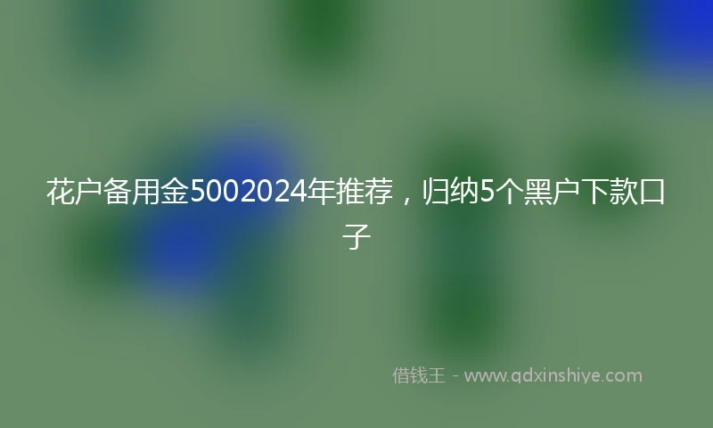 花户备用金5002024年推荐,归纳5个黑户下款口子
