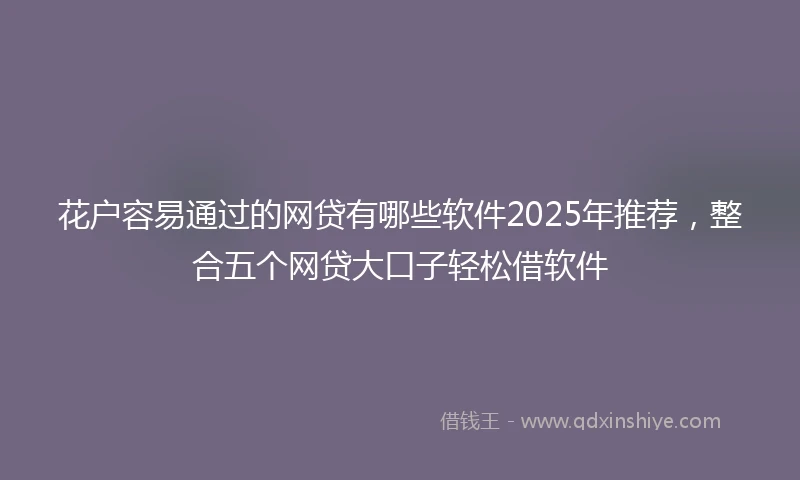 花户容易通过的网贷有哪些软件2025年推荐，整合五个网贷大口子轻松借软件