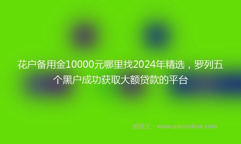 花户备用金10000元哪里找2024年精选,罗列五个黑户成功获取大额贷款的平台