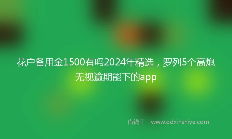 花户备用金1500有吗2024年精选，罗列5个高炮无视逾期能下的app