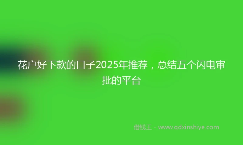 花户好下款的口子2025年推荐，总结五个闪电审批的平台