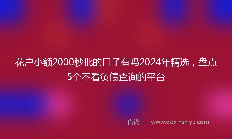 花户小额2000秒批的口子有吗2024年精选,盘点5个不看负债查询的平台
