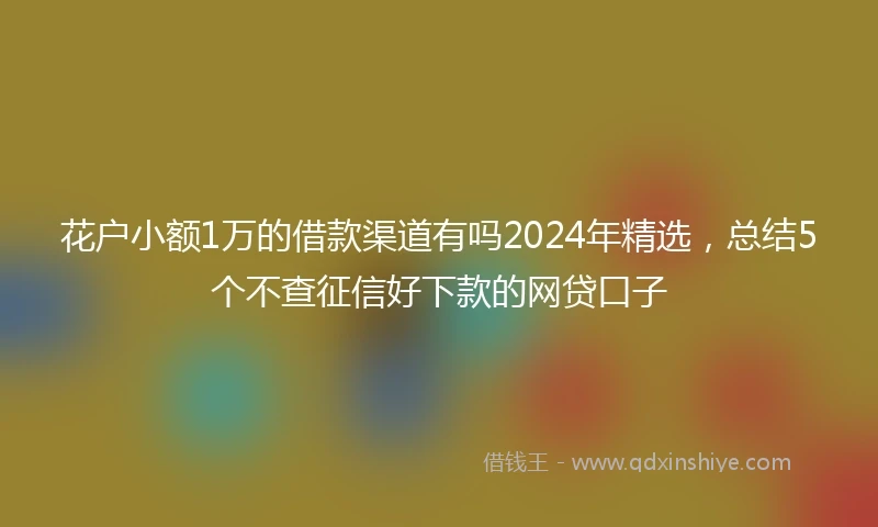 花户小额1万的借款渠道有吗2024年精选，总结5个不查征信好下款的网贷口子