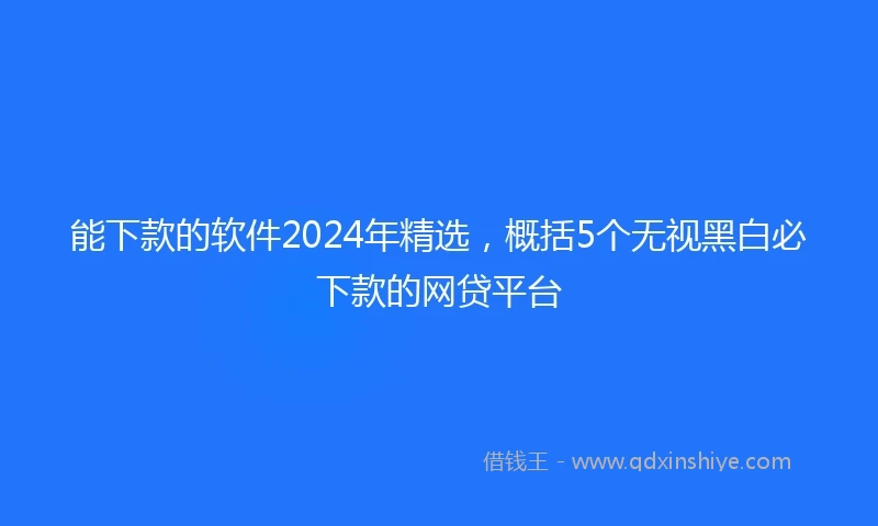 能下款的软件2024年精选，概括5个无视黑白必下款的网贷平台