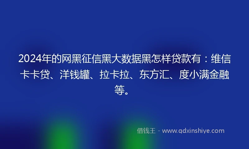 2024年的网黑征信黑大数据黑怎样贷款有：维信卡卡贷、洋钱罐、拉卡拉、东方汇、度小满金融等。