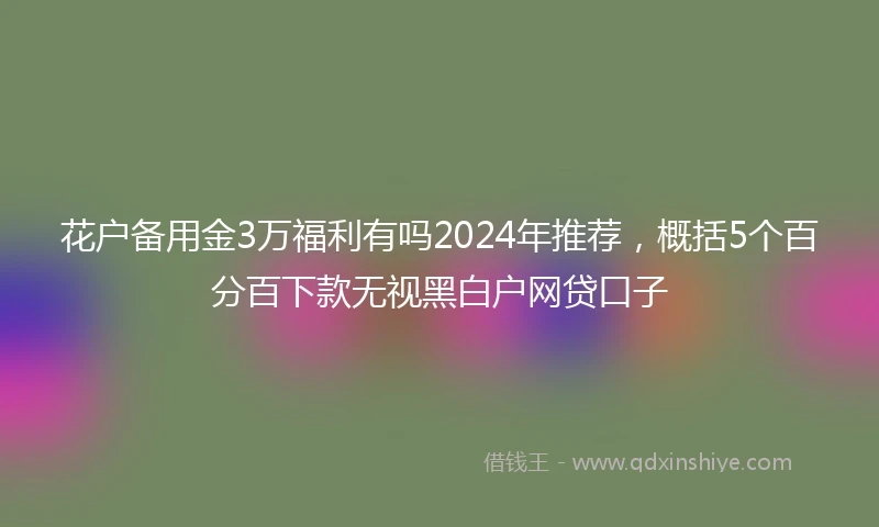 花户备用金3万福利有吗2024年推荐,概括5个百分百下款无视黑白户网贷口子