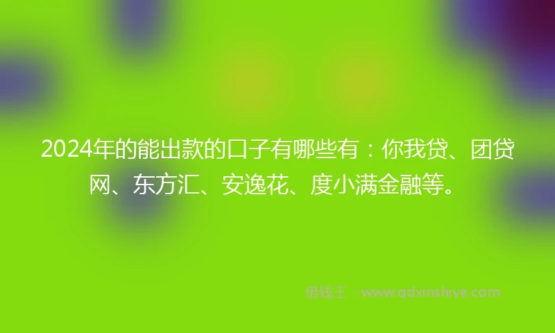 2024年的能出款的口子有哪些有：你我贷、团贷网、东方汇、安逸花、度小满金融等。
