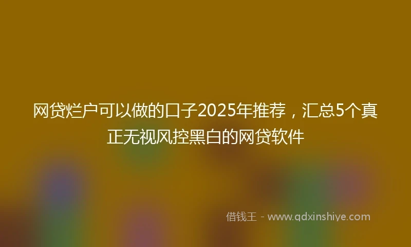 网贷烂户可以做的口子2025年推荐，汇总5个真正无视风控黑白的网贷软件