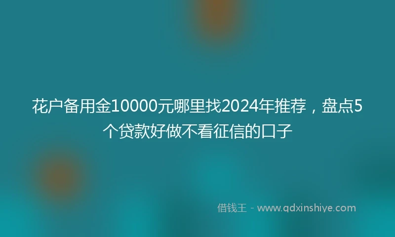 花户备用金10000元哪里找2024年推荐，盘点5个贷款好做不看征信的口子