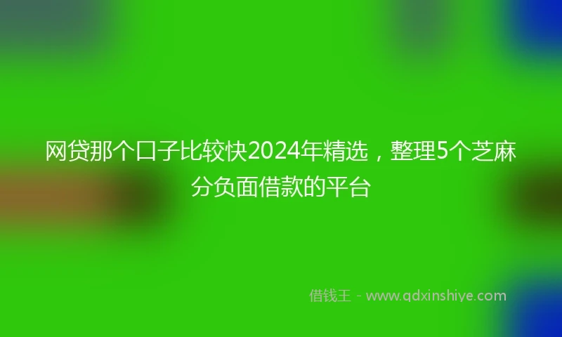 网贷那个口子比较快2024年精选，整理5个芝麻分负面借款的平台
