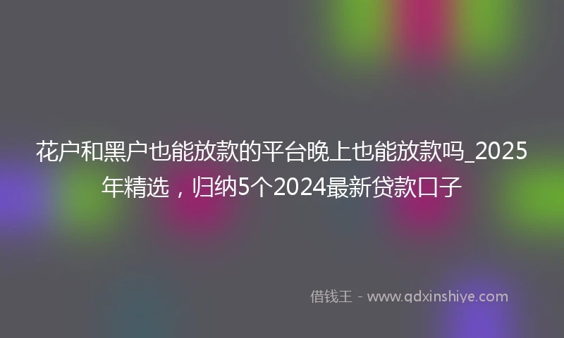 花户和黑户也能放款的平台晚上也能放款吗_2025年精选，归纳5个2024最新贷款口子