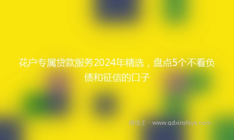花户专属贷款服务2024年精选，盘点5个不看负债和征信的口子