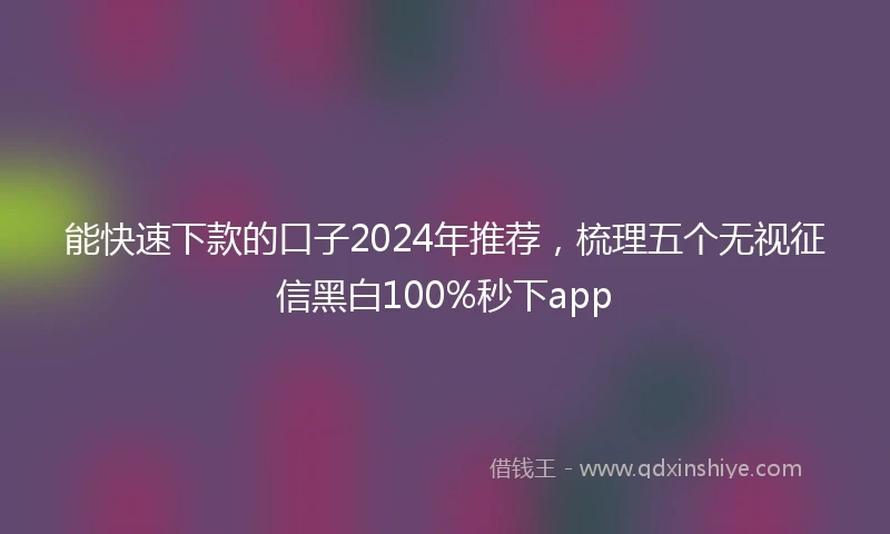 能快速下款的口子2024年推荐，梳理五个无视征信黑白100%秒下app
