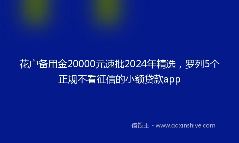 花户备用金20000元速批2024年精选，罗列5个正规不看征信的小额贷款app