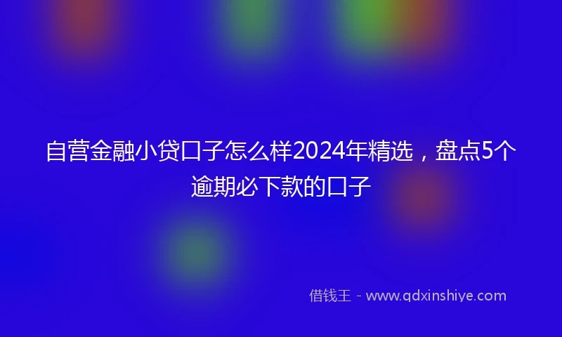 自营金融小贷口子怎么样2024年精选，盘点5个逾期必下款的口子