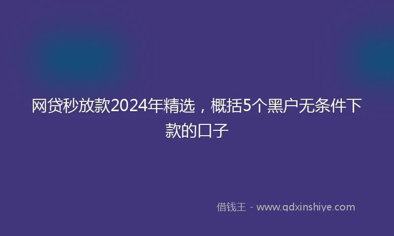 网贷秒放款2024年精选，概括5个黑户无条件下款的口子