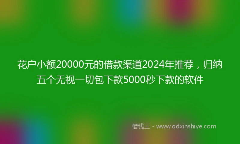花户小额20000元的借款渠道2024年推荐，归纳五个无视一切包下款5000秒下款的软件